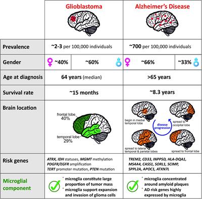 The Rules of Engagement: Do Microglia Seal the Fate in the Inverse Relation of Glioma and Alzheimer’s Disease?